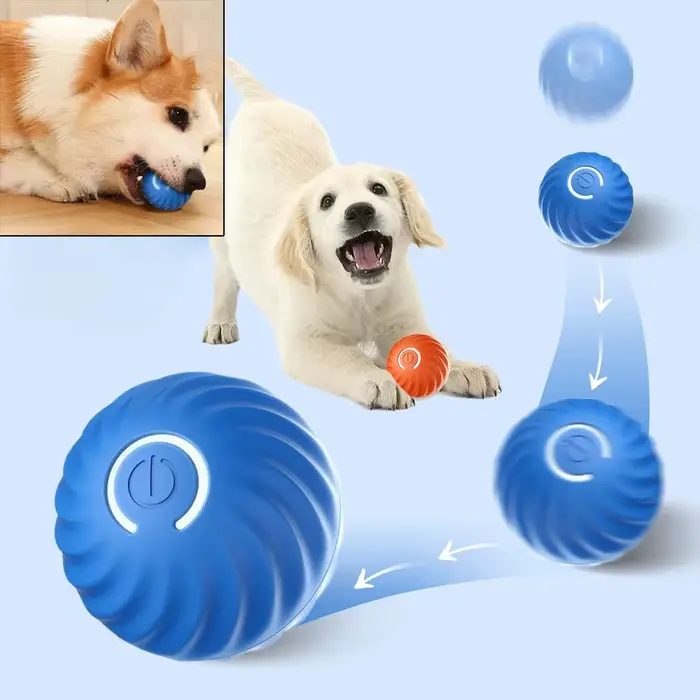 Balle roulante rebondisnoyaux à mouvement automatique pour chien
