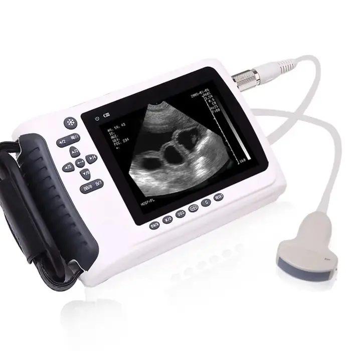 Échographe portable vétérinaire et équipement de diagnostic portable en gros - Machine à ultrasons m