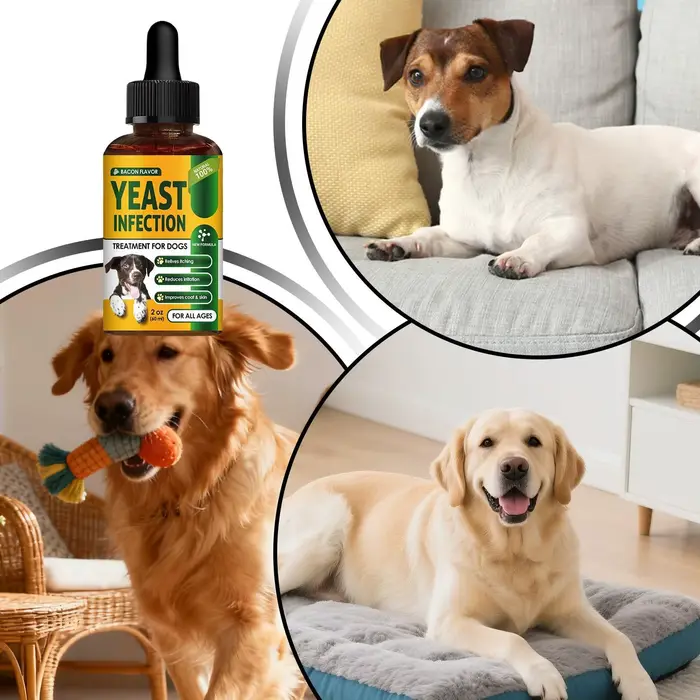 Huile apaisante naturelle pour chiens soulage démangeaisons et favorise santé peau chiots et animaux de compagnie occasions spéciales