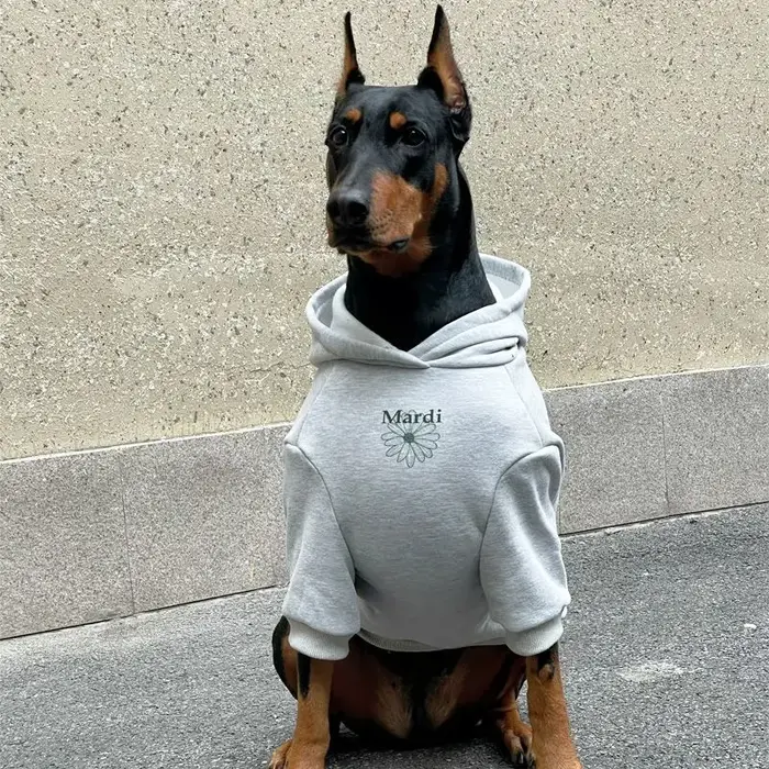 Grand chien à capuche hiver vêtements chauds pour Doberman berger allemand sweat-shirt à la mode