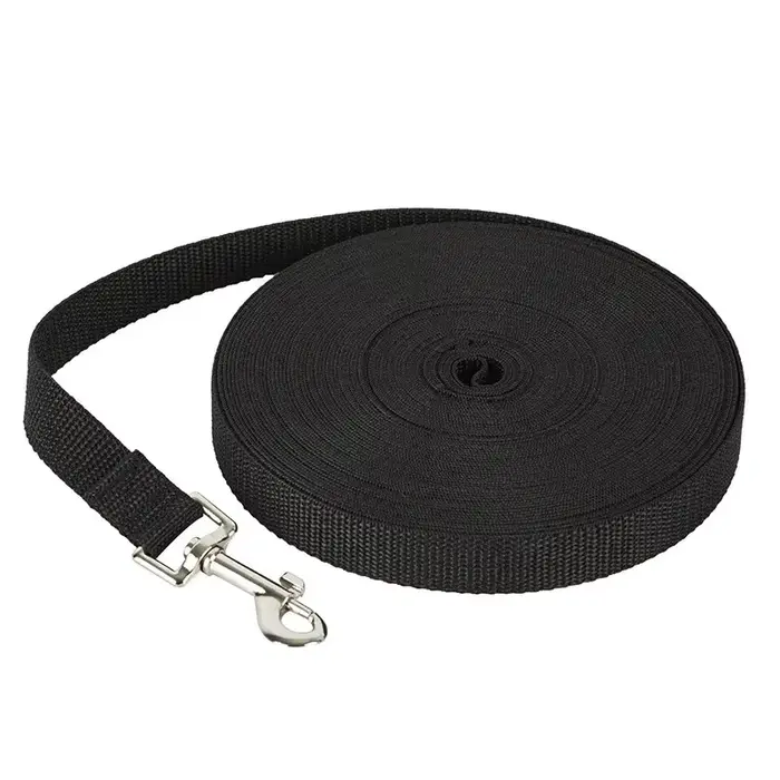 Laisse longue en Nylon pour animaux de compagnie, pour petits et grands chiens, chats, randonnée en 