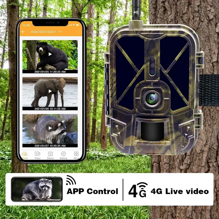 Caméra de chasse 4K 36MP avec contrôle 4G