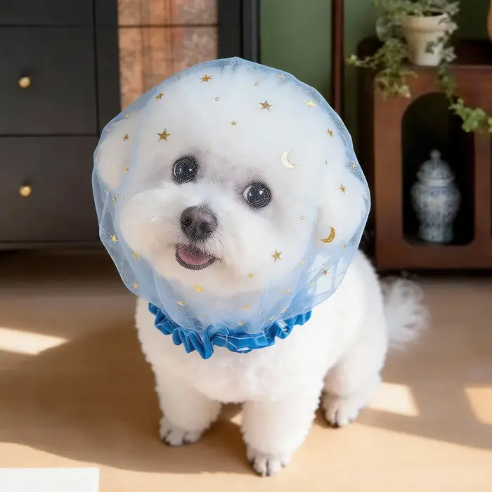 Accessoire de mode en maille pour chiens anti-mastication respirant pour promenade en extérieur