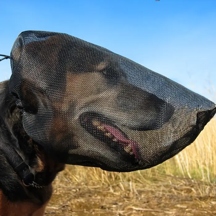 Masque facial pour chien, protège les yeux, les oreilles et le nez des graminées et des éclats de pi