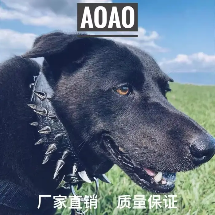 Collier robuste en cuir pour chiens de grande et moyenne taille, avec rivets dominateurs, protection anti-morsure pour randonnées et balades quotidiennes