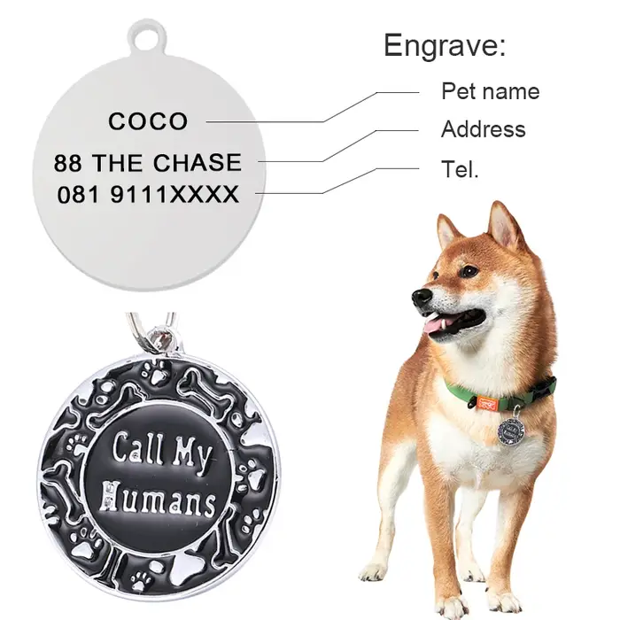 Étiquette d'identification de chien de compagnie gravée gratuitement, étiquette d'identification personnalisée pour chat et chiot, accessoires de collier de chien de compagnie, étiquettes de nom Anti-