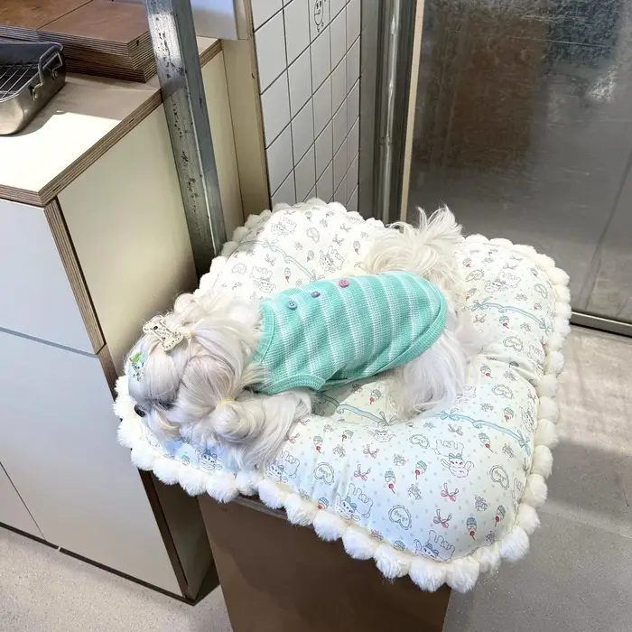 Tapis de couchage pour chien 60*60cm, doux, respirant, chaud, coussin confortable à carreaux pour ch