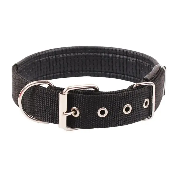 Collier de chien réglable en nylon avec anneau de traction, tour de cou, longue durée, fournitures p