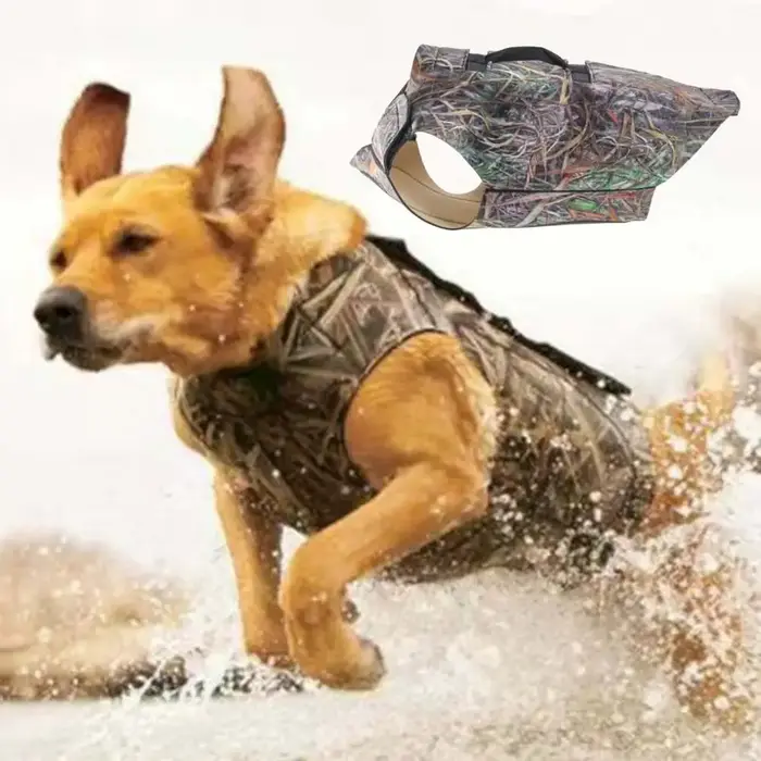 Poitrine en néoprène réglable pour la chasse au chien