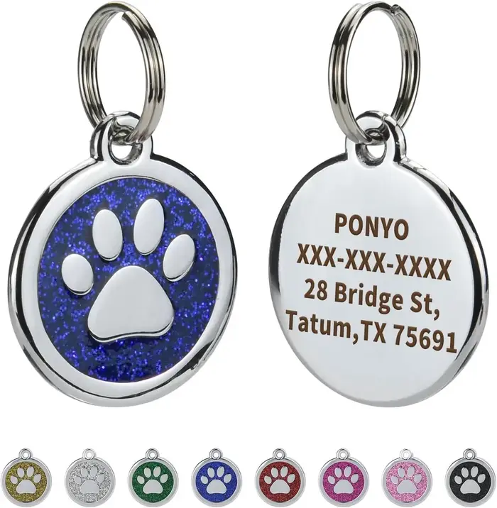 Étiquettes d'identification pour animaux de compagnie, gravure gratuite, pendentif anti-perte pour c