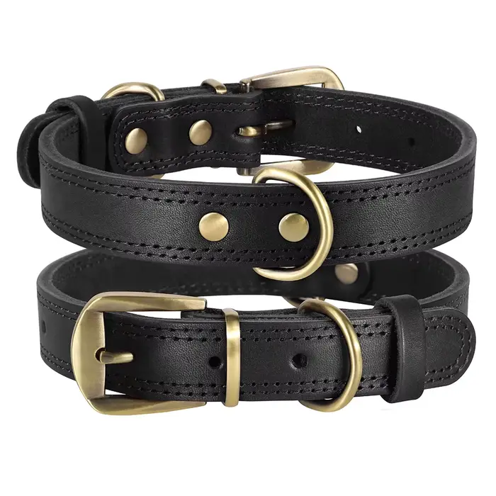 Collier en cuir véritable pour petits et grands chiens, collier durable pour animaux de compagnie, b