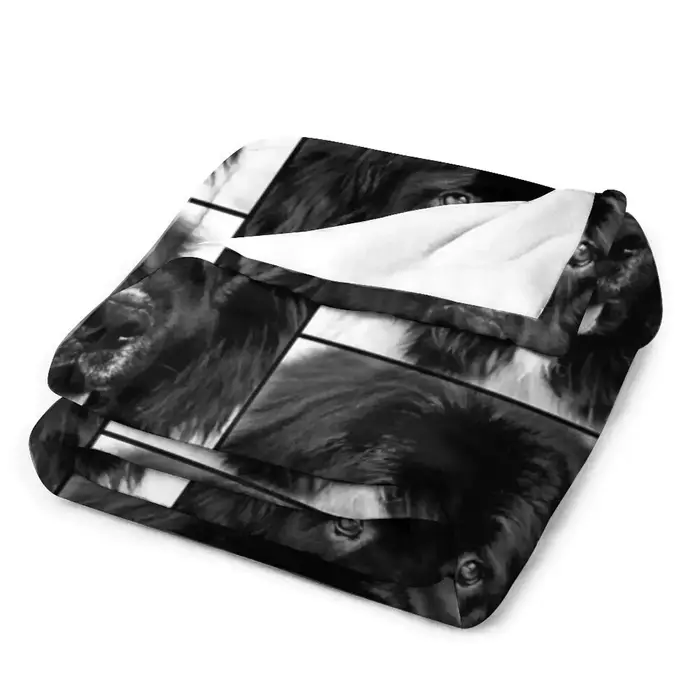Couverture Raschel en peluche avec portrait de chien Terre Neuve noir et blanc classique pour homme occasions spéciales usage quotidien à la maison hôtel avion sofa