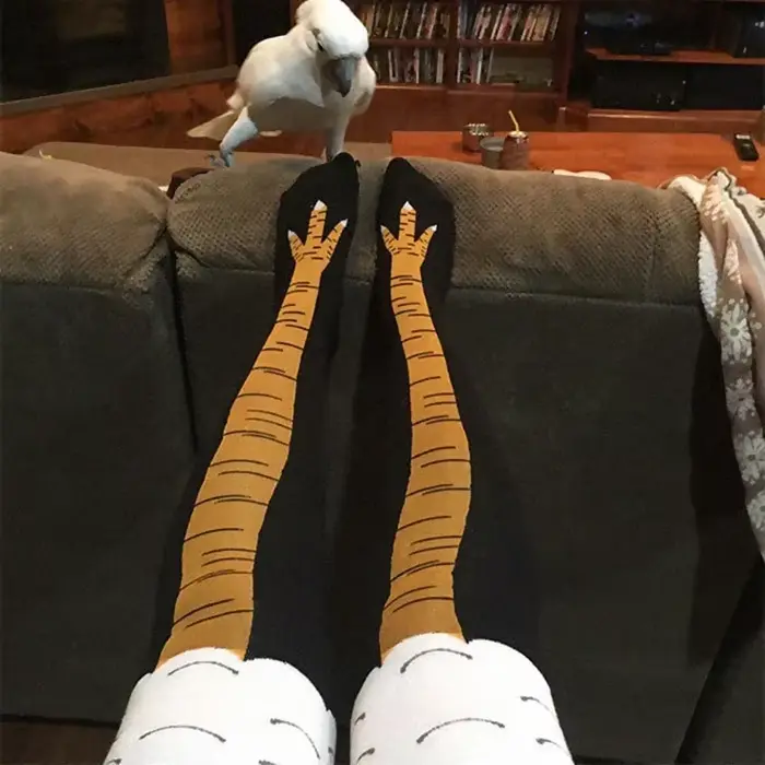 Chaussettes homme cuisses imprimé poulet 3D coton cosplay chasse humour flexibles respirantes
