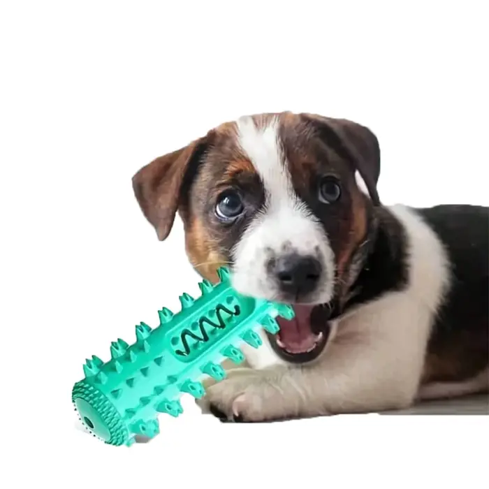 Cadeau pour chien - Jouet à mâcher les dents, offrant des soins bucco-dentaires complets pour les ch