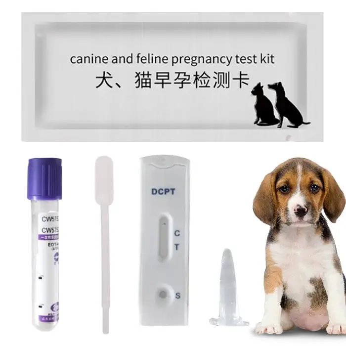 Kit de test de grossesse pour chien