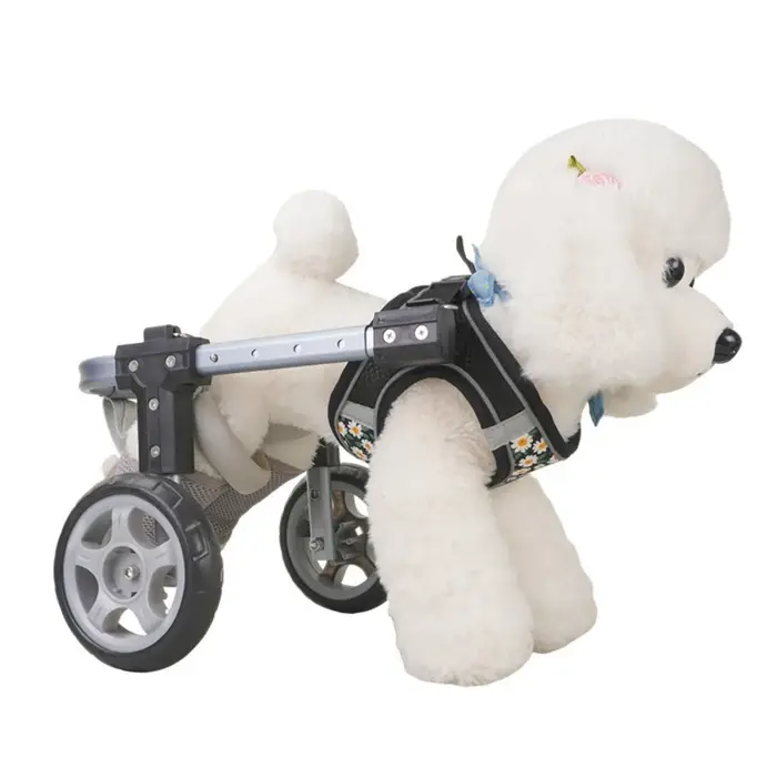 Chariot de Mobilité Léger en Aluminium pour Animaux de Compagnie, Fauteuil Roulant Réglable et Détac