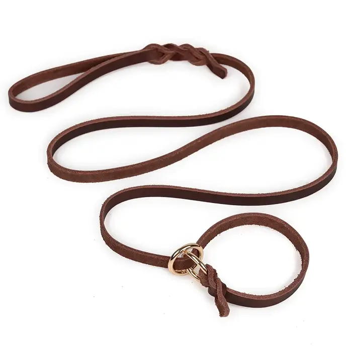 Laisse de dressage pour chien en cuir véritable