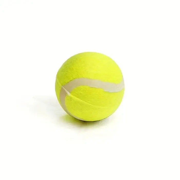 Bâton lanceur de balle de Tennis pour animaux de compagnie-jouet interactif d'entraînement pour chie