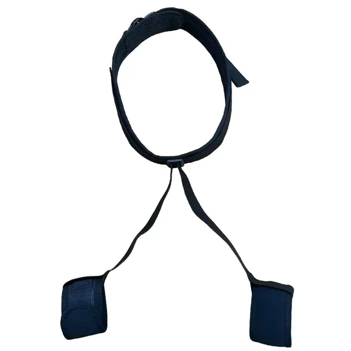 Attelle orthopédique pour hanches de chien, support pour dysplasie de la hanche chez les chiots, pou