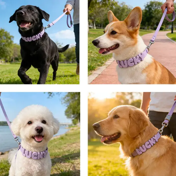 Collier pour chien en silicone