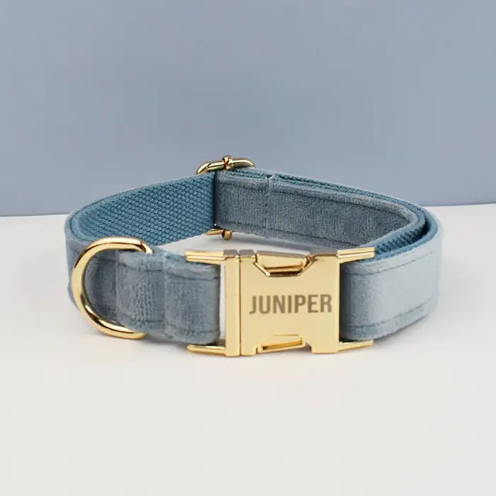 Laisse et collier de luxe pour chien, collier rétractable pour animaux de compagnie de petite et gra