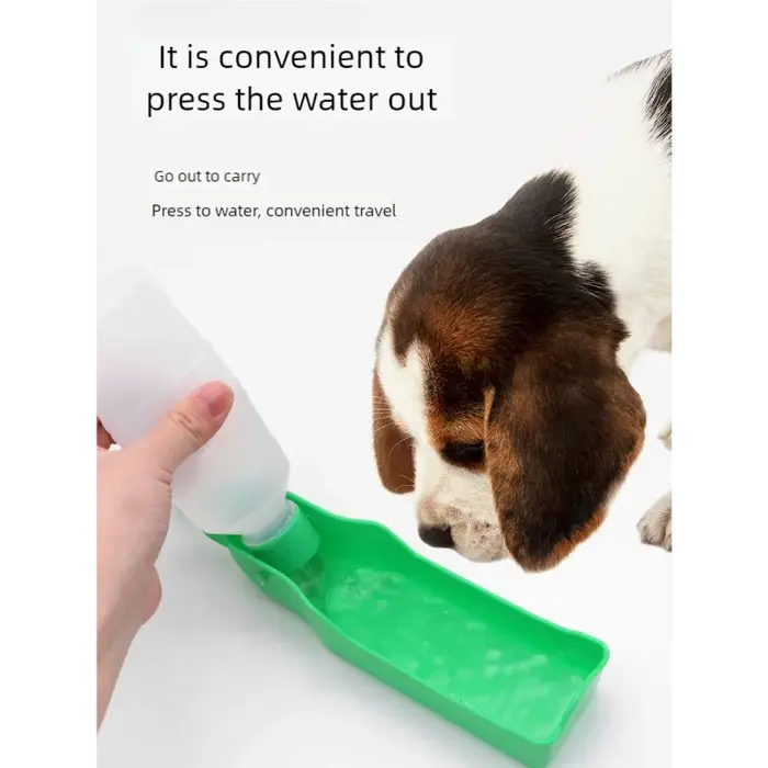 Bouteille d'eau pour chien