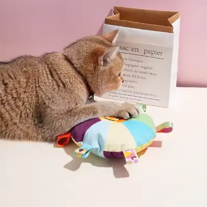 Jouets interactifs pour chiens avec poignées