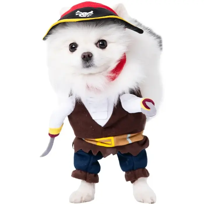Costumes d'halloween pour chiens, lanterne citrouille drôle, tenue de Transformation, chien d'hallow