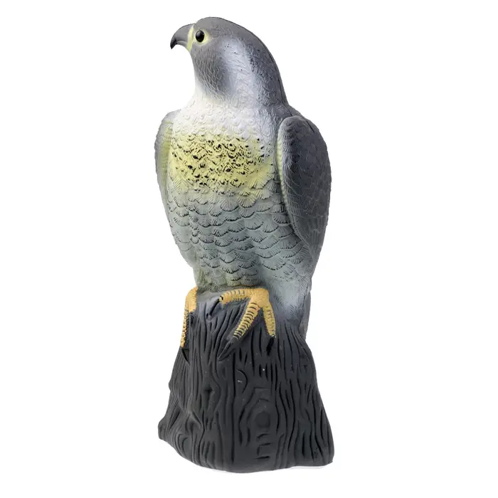 Epouvantail 3D réaliste pour la chasse, leurre, oiseau, Pigeon, effrayant