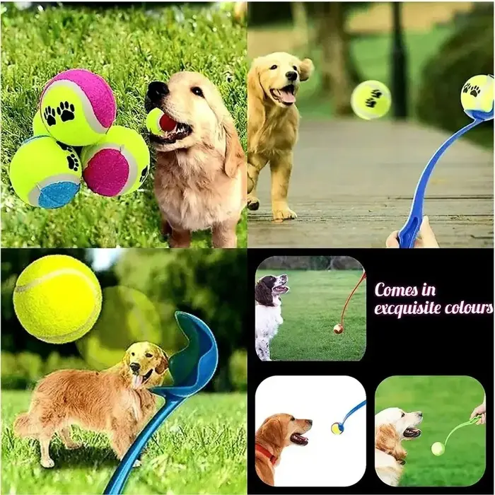 Jouet d'entraînement en plastique pour chiens bâton de lancer avec balle pour jeux de plein air occasions spéciales