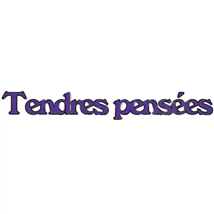 Bonne chanoe Pour Toi mots français communs matrices de découpe en métal pour bricolage Scrapbooking
