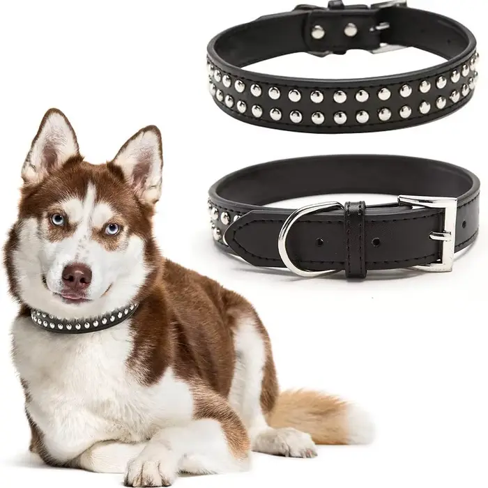 Collier anti-morsure pour chien