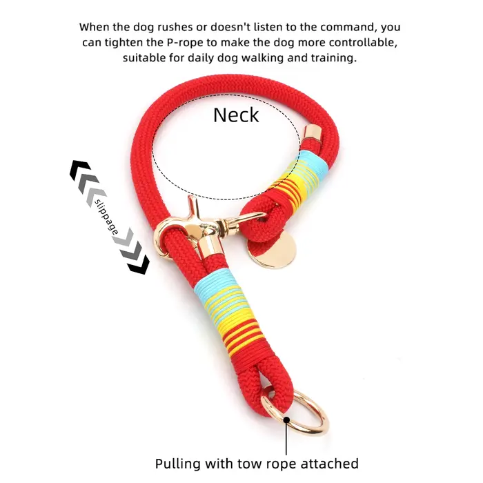 Collier pour chien en nylon
