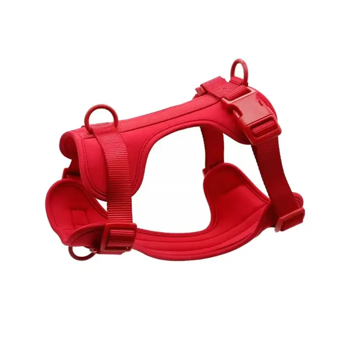 Harnais pour chien couleur bonbon