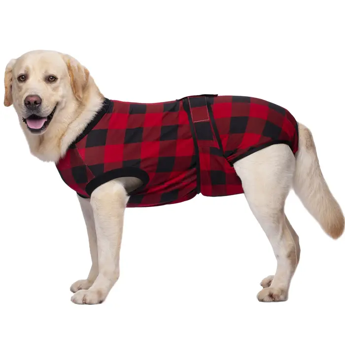 Combinaison de récupération pour chien après chirurgie, body professionnel pour chien masculin, chem