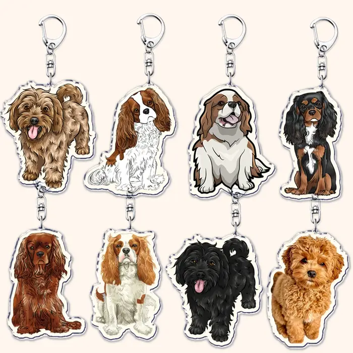Porte-clés Cavalier King Charles Spaniel en acier inoxydable pour homme et femme accessoires bijoux animaux de compagnie cadeaux occasions spéciales