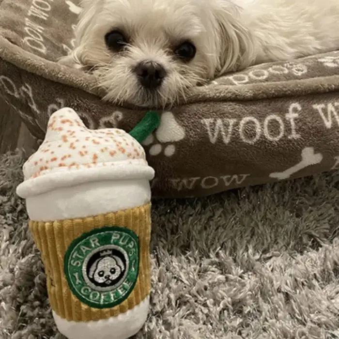 Jouet en peluche pour chien