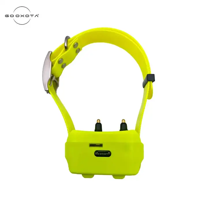 Collier GPS pour chien