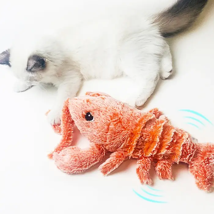 Jouet en Peluche Interactif pour Animal de Compagnie