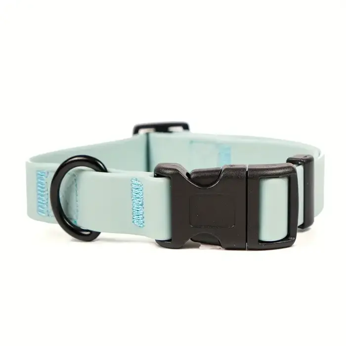 Collier pour chien, plastique imperméable, caoutchouc PVC, lavable, colliers pour chiots d'extérieur