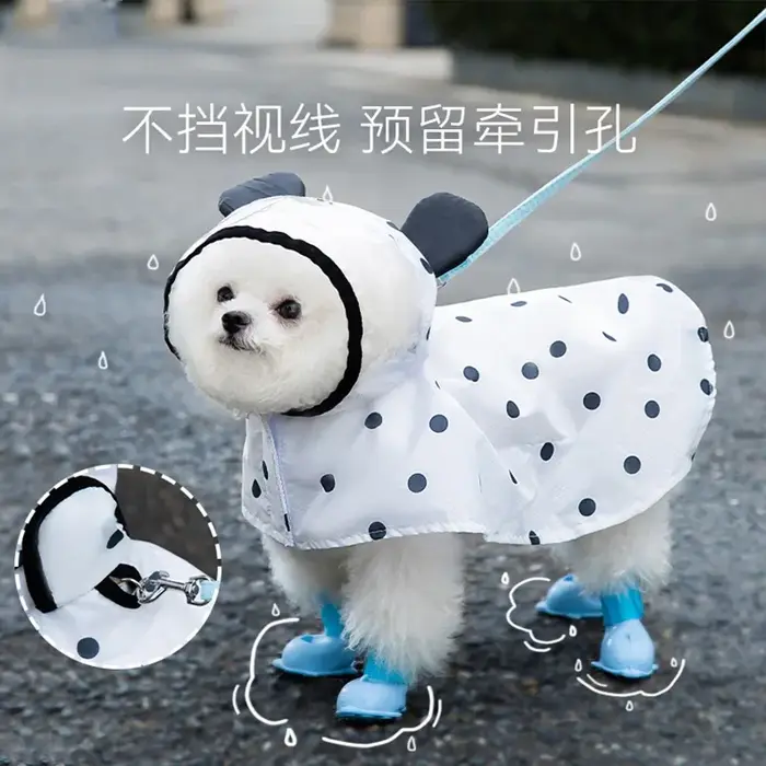 XS-2XL imperméable pour chien mignon oreilles d'ours chapeau points College vêtements pour animaux d