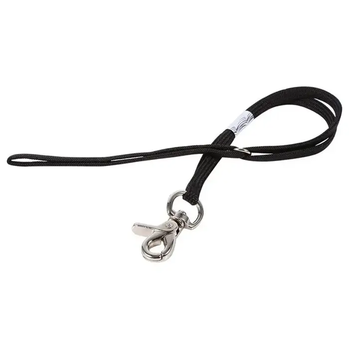 Accessoires pour animaux de compagnie 50cm corde de retenue harnais Animal chat nœud papillon corde 