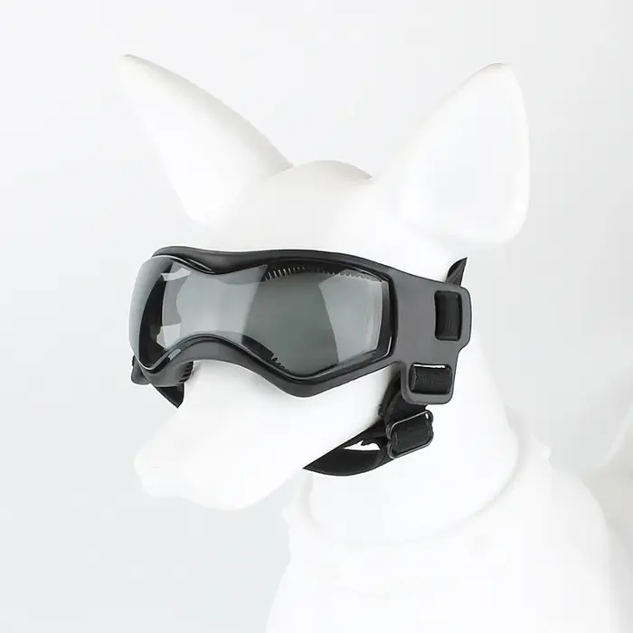 Lunettes de soleil d'extérieur pour chiens, Protection UV, coupe-vent, petite race, natation, patina