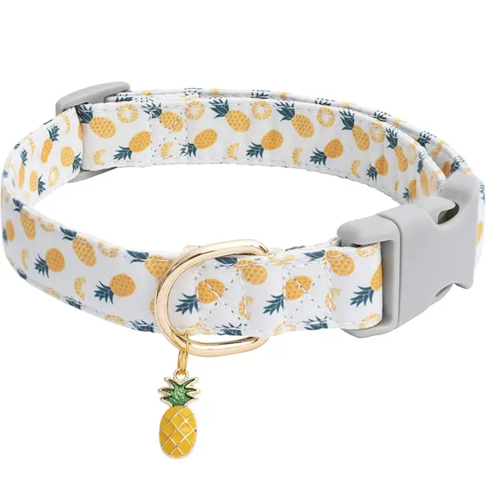 CP602/611-collier de chien de compagnie à motif de fruits avec pendentif en métal de fruits pour cha