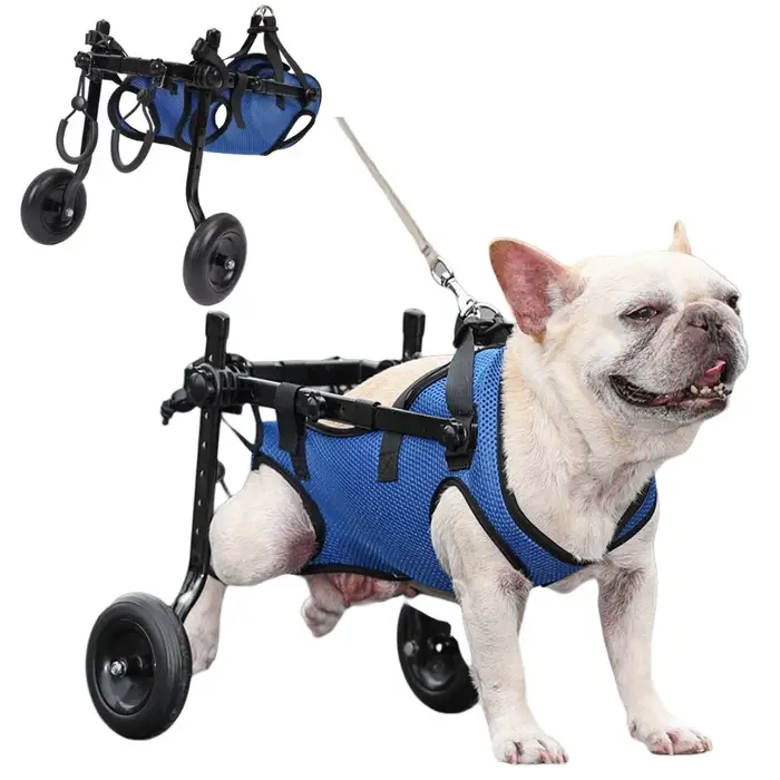 Chariot de fauteuil roulant pour chien handicapé, aide à la mobilité réglable pour animaux de compag