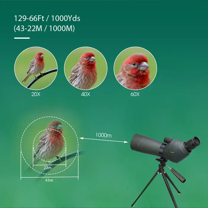 Lunette d'observation Svbony SV411 20-60x70mm HD double focus 45 degrés pour tir cible observation oiseaux