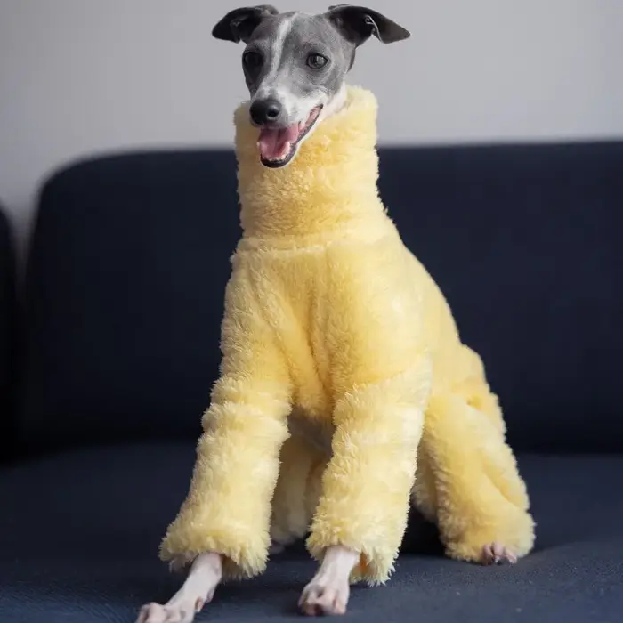 Manteau jaune doux pour chien
