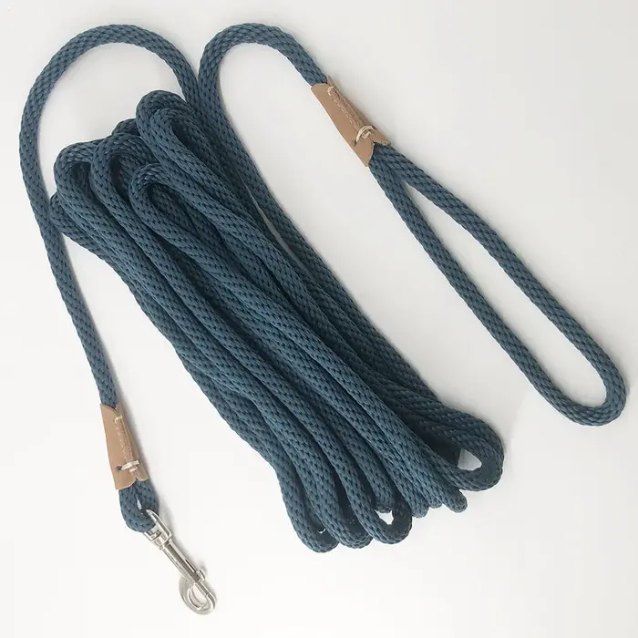 2m 3m 5m 10m chien plomb longue laisse d'entraînement pour chien ligne de suivi robuste chiot corde 