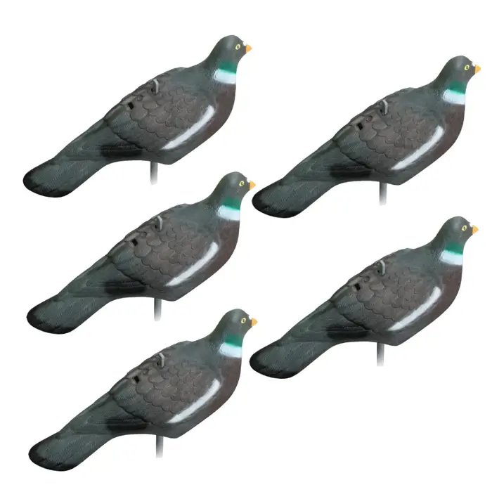 Leurres pigeon 3D réalistes peints à main pour entraînement tir colombe, accessoires chasse