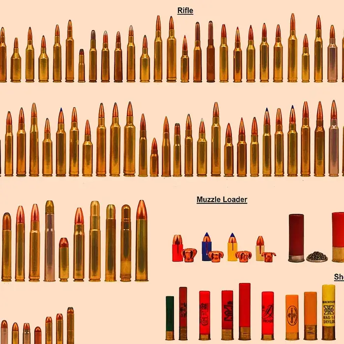 Affiches et impressions d'armes à feu vintage, de balles de fusil, de tableaux muraux, de peintures 